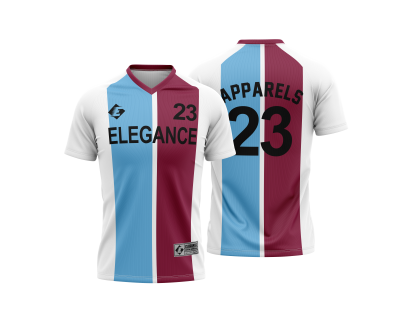 ECA-Art-311